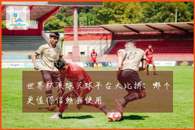 世界杯滚球买球平台大比拼：哪个更值得信赖和使用