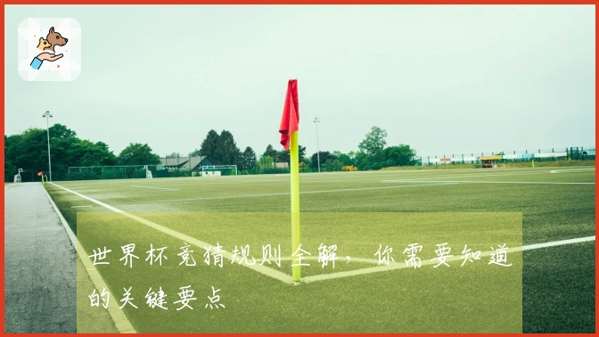 世界杯竞猜规则全解，你需要知道的关键要点