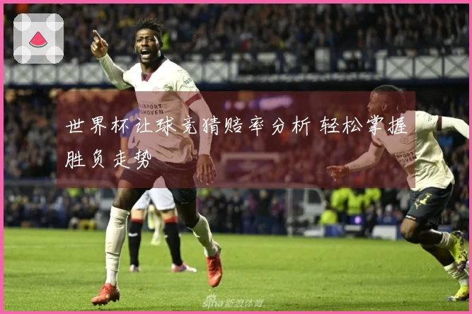 世界杯让球竞猜赔率分析 轻松掌握胜负走势