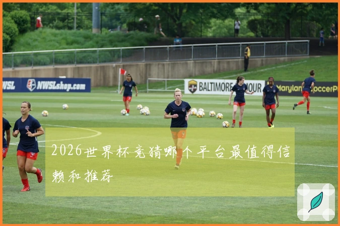 2026世界杯竞猜哪个平台最值得信赖和推荐