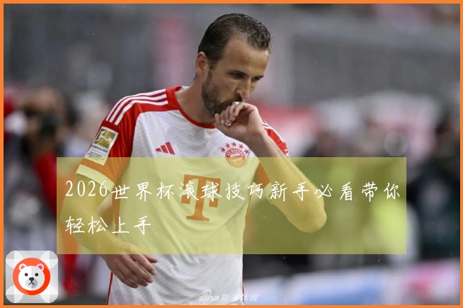 2026世界杯滚球技巧新手必看带你轻松上手