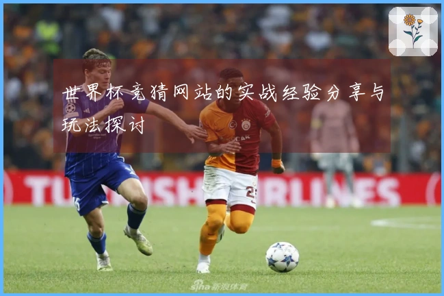 世界杯竞猜网站的实战经验分享与玩法探讨