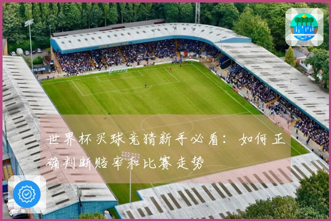 世界杯买球竞猜新手必看：如何正确判断赔率和比赛走势