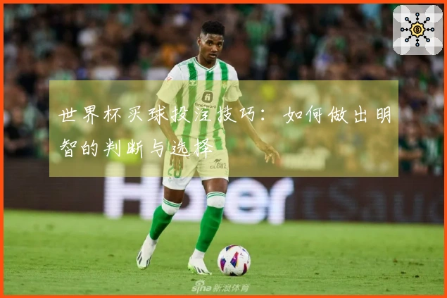 世界杯买球投注技巧：如何做出明智的判断与选择